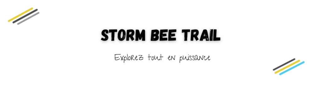 Titre SURRON STORM BEE TRAIL