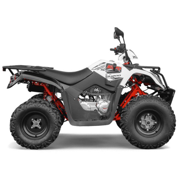 Quad homologué AU200 200cc KAYO