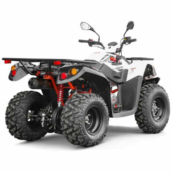 Quad homologué AU200 200cc KAYO – Image 3