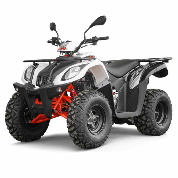 Quad homologué AU200 200cc KAYO – Image 2
