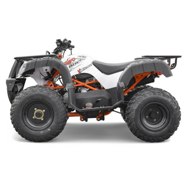 Quad AU150 150cc KAYO – Image 4
