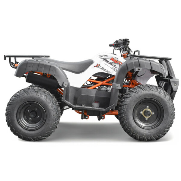 Quad AU150 150cc KAYO – Image 3