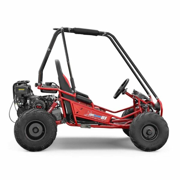 Buggy BOLT 212cc XTRM 81 – Image 2