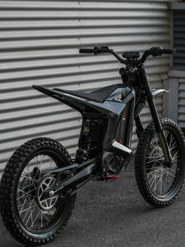 ARCTIC LEOPARD XE PRO S - vue coté arrière droit de loin