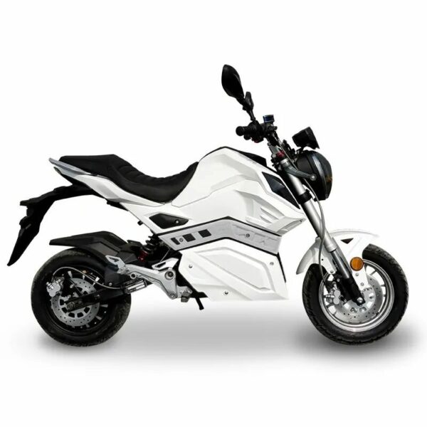 E-ROADSTER MAX – Image 2