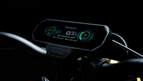 FALCON PRO 79BIKE – Image 6