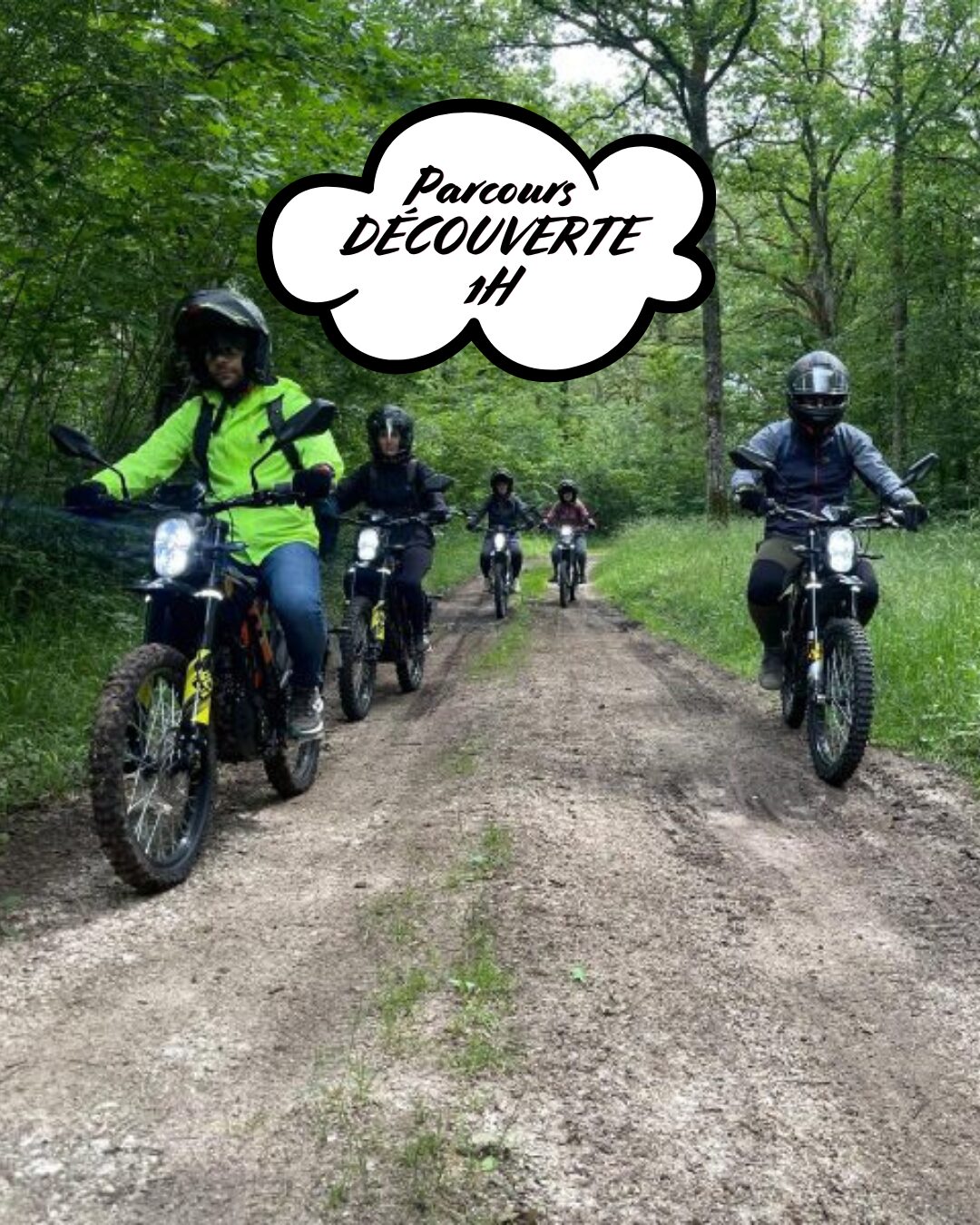 Découverte