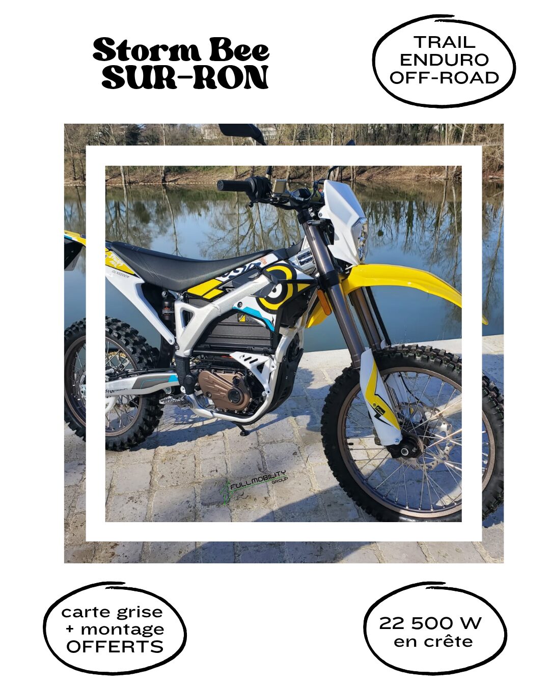STORM BEE SURRON