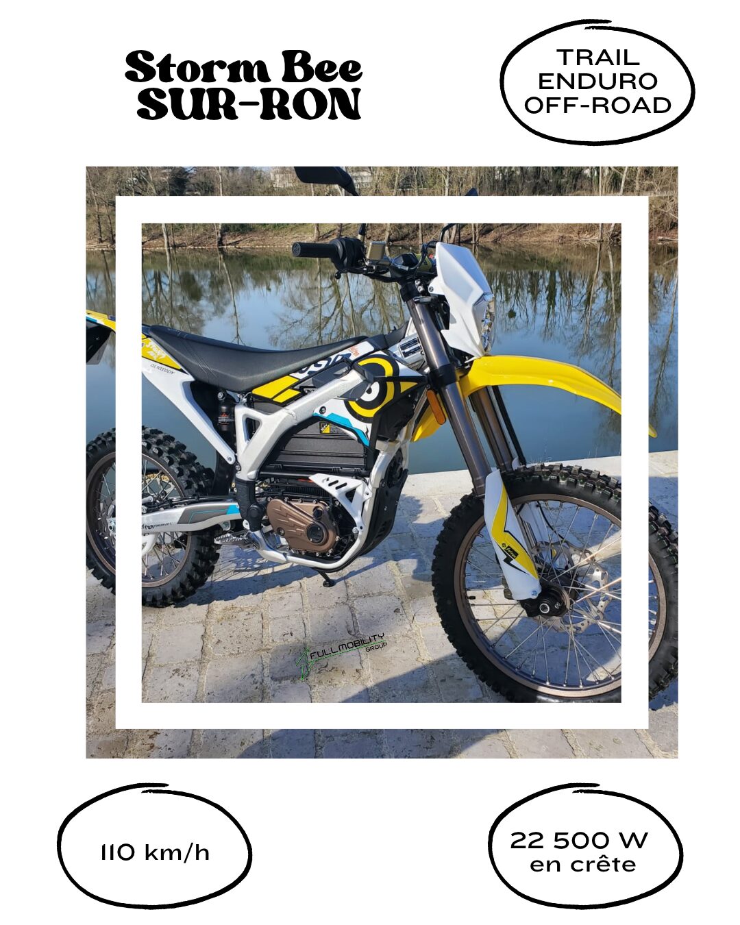 STORM BEE SURRON